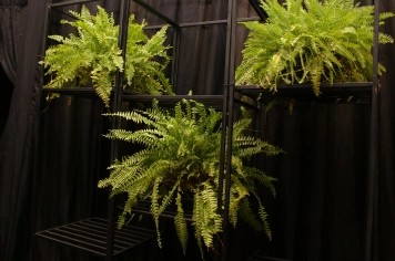 Foto - SECRETARIA DE ASSITÊNCIA SOCIAL REALIZA CONFRATERNIZAÇÃO DE ENCERRAMENTO DE PROJETOS 2025