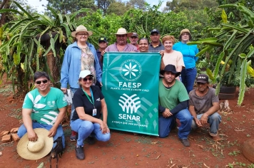 SEGUNDA CAPACITAÇÃO TÉCNICA EM PODA DE ÁRVORES É REALIZADA EM PEDRINHAS PAULISTA.