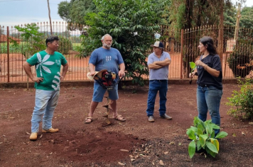 PLANTIO AGROECOLÓGICO DE BANANA É REALIZADO EM PEDRINHAS PAULISTA.