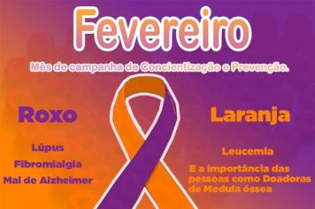 FEVEREIRO LARANJA E ROXO