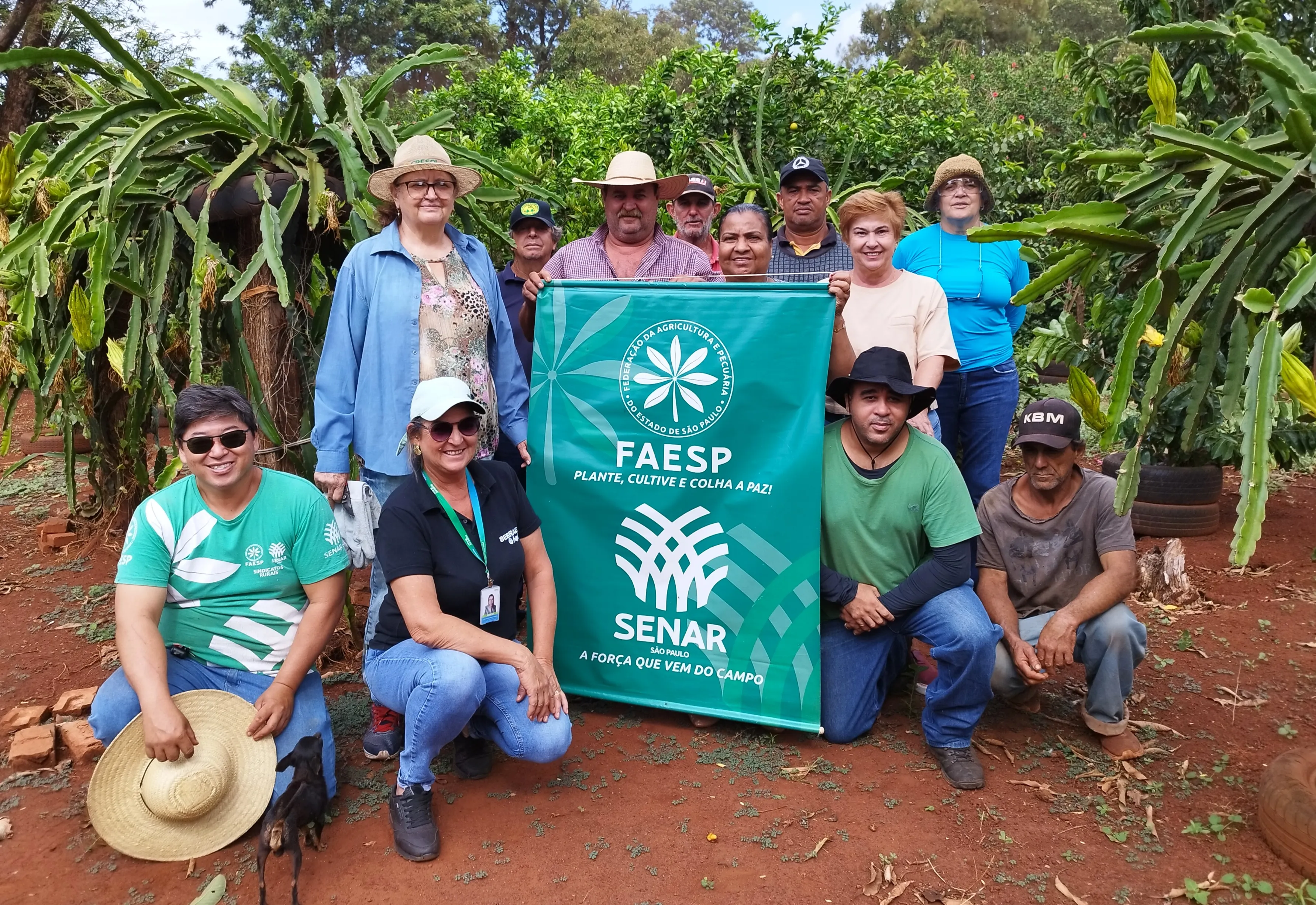 SEGUNDA CAPACITAÇÃO TÉCNICA EM PODA DE ÁRVORES É REALIZADA EM PEDRINHAS PAULISTA.