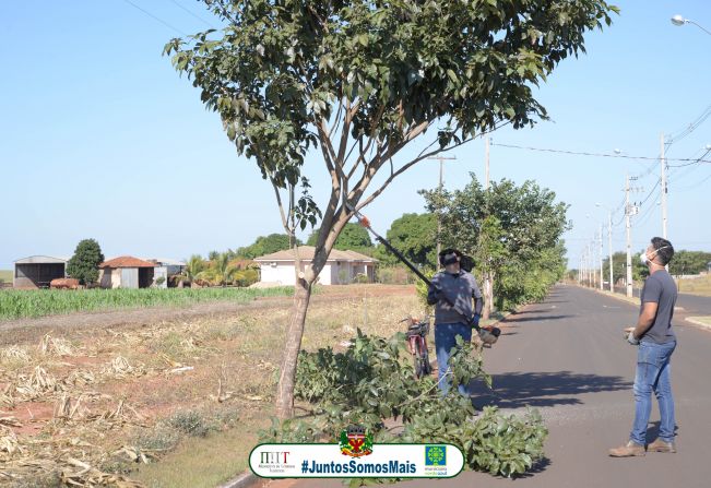 PREFEITURA REALIZA PODA DE ÁRVORES NA AVENIDA AEROPORTO